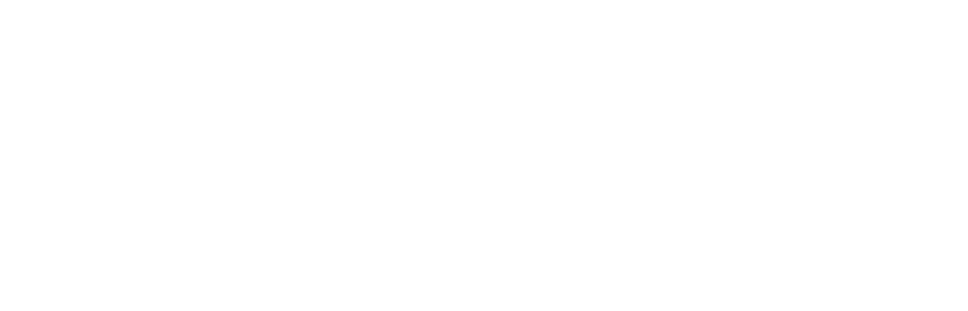 doğuş holding